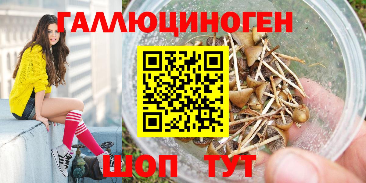 Псилоцибиновые грибы MAGIC MUSHROOMS  Вход с VPN  Черкесск 